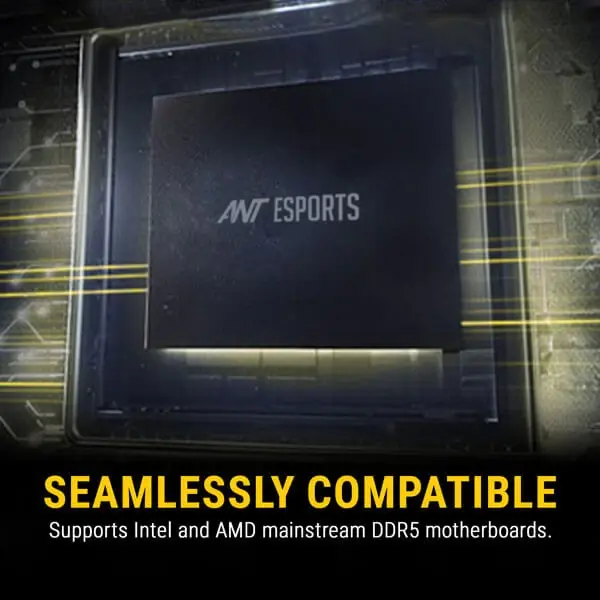 Ant-Esports-690-Neo-Fp-16Gb-16Gbx1-Ddr5-5200Mhz-Desktop-Ram-3-1.webp